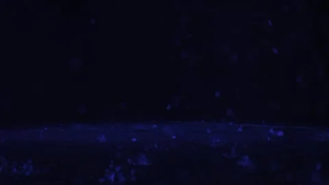 Rain Animation Loop  Stock Footage 232423207