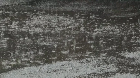 Rain on asphalt Stock Footage 38842532