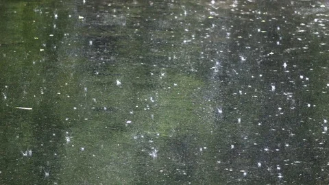 Rain on the asphalt Stock Footage 75685795