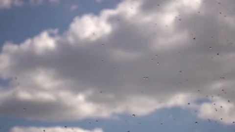 Rain on the Background of the Clouds. Stock Footage 77005118