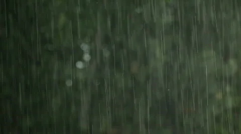 Rain Background Stock Footage 729745