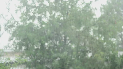 Rain background Vídeos de archivo 27499157