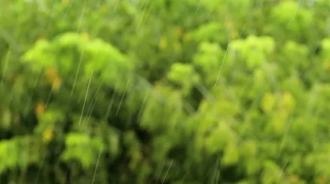 Rain background Stock Footage 55138077