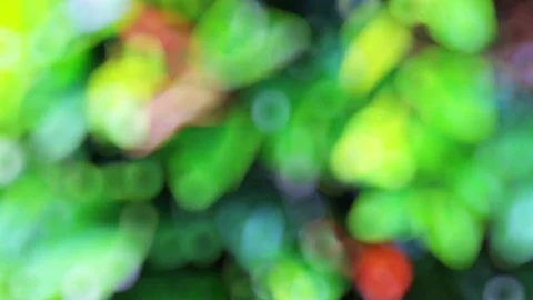 Rain in the background of the forest. Blurred background Video stock 78495430