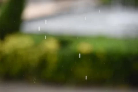Rain Backround 写真素材