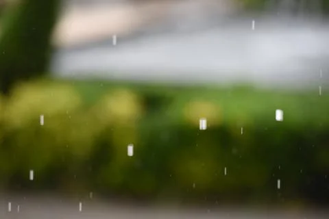Rain Backround Stock Photos