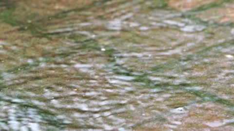 Rain in backyard Video stock 134677812