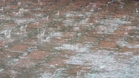 Rain in backyard Stock Footage 134678655