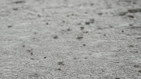 Rain in backyard Stock Footage 134678788