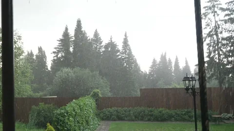 Rain in the backyard Stock Footage 156755771