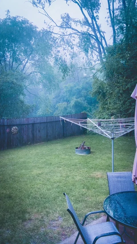 Rain in a backyard Stock Footage 279519651