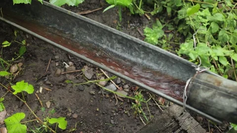 Rain, bad weather in the yard. The rain pours into the gutter Stockbeeldmateriaal 246453576