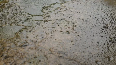 Rain, bad weather in the yard. Rain pours down on the concrete path Stock Footage 246453578