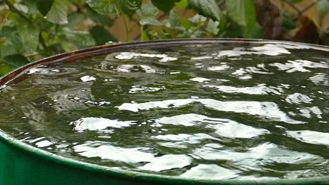 Rain barrel Stock Footage 115320534