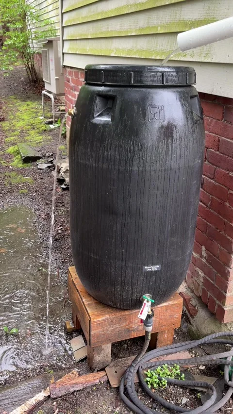 Rain barrel water pouring from overflow valve in rain, vertical, stock footage Stock Footage 308747772