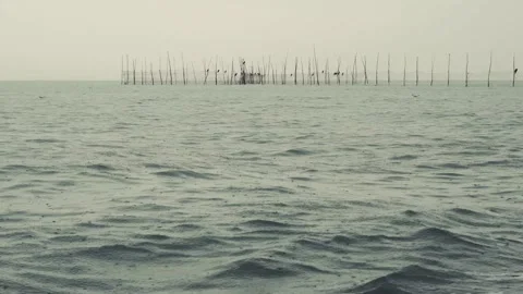 Rain by the beach and seagulls Stock Footage 229920651
