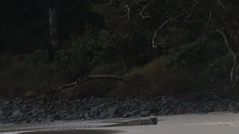 Rain on beach Stock Footage 235581958