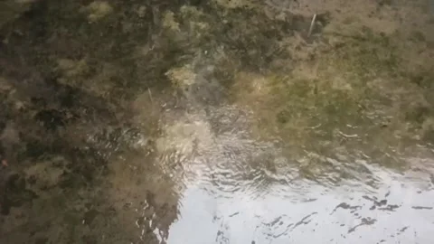 The rain began to fall Vídeos de archivo 194882433