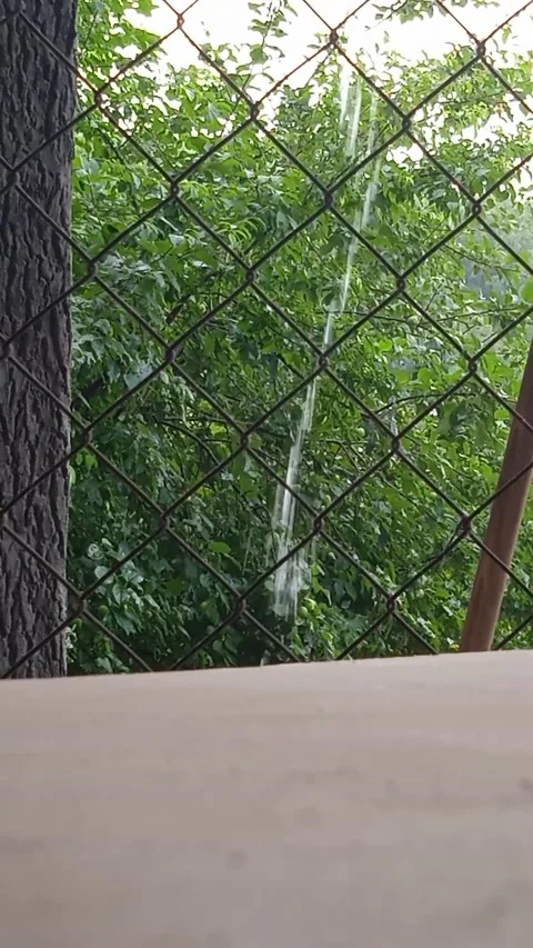 Rain behind Stock Footage 157704497