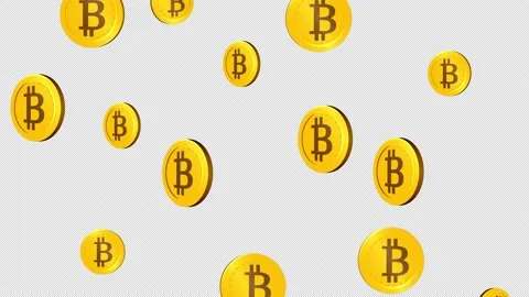 Rain of bitcoins. cryptocurrency with ALPHA channel Crypto mining, blockchain Stock Footage 153614216