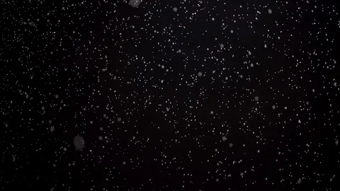 Rain On Black Background Stock Footage 77005769