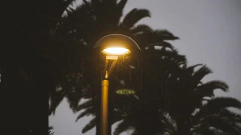 Rain. Black sky with rain Stock Footage 100081578