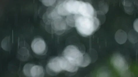 Rain with Blurred Background Stock Footage 142507307