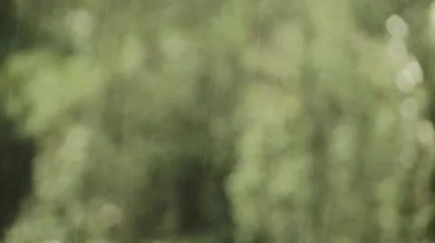 Rain bokeh background Stock Footage 66112622