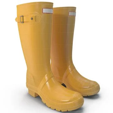 3D Model: Rain Boots ~ Buy Now #91481097 | Pond5