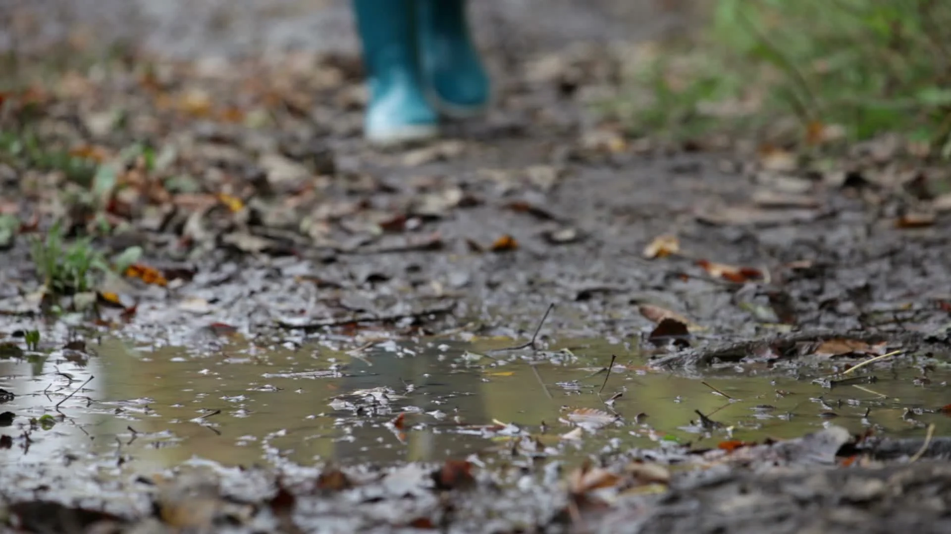 Muddy puddles hotsell rain boots