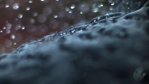 Rain Bouncing Off Water-Resistant Fabric Macro Video stock 73063103