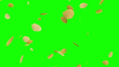 Rain Brown Dried Leaves Fall Animation Green Screen Stock Footage 143520171