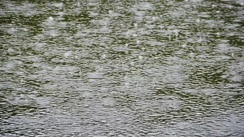 Rain, bubbles, circles on the surface of the river Stock Footage 301689048