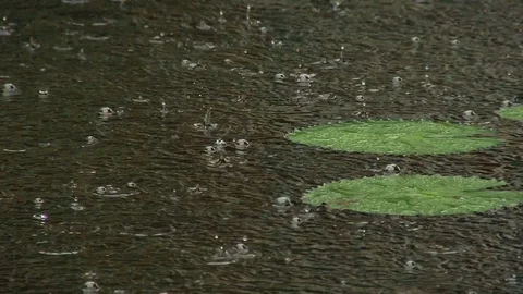 Rain bubbles in river 스톡 동영상 125397184