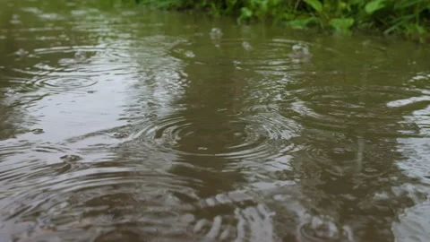 Rain bubles Video stock 161097146