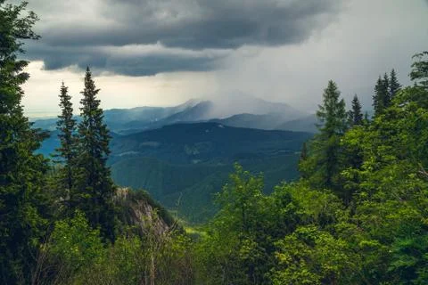 Rain in Bucegi Mountains Stock Photos