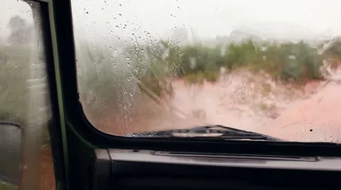 Rain in the bush inside a car Stock-Footage 5617960