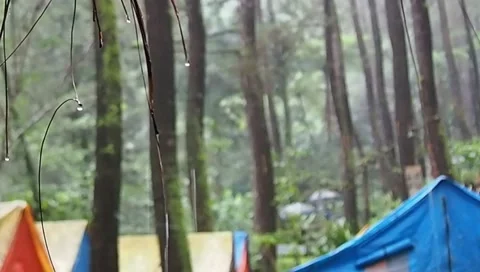 Rain in camping ground Stock Footage 227359241