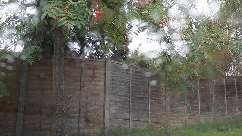 Rain in a car windscreen - point of view Stock Footage 96023481