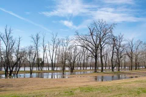 Rain causes flooding on Red River in Louisiana Stock Photos