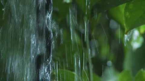 Rain chain leaves Stock Footage 701931