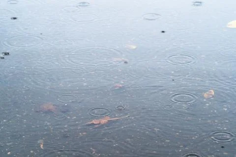 Rain circles on surface of puddle on asphalt road Stock Photos