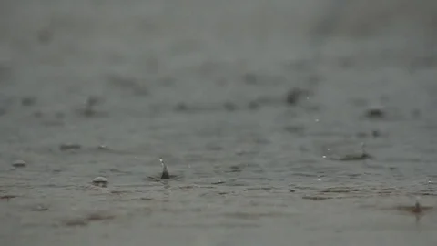 Rain in the city Video stock 81532510