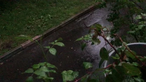 Rain in the city Stock Footage 134598905