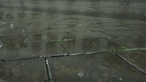 Rain in the city. Raindrops falling on the pavement in the town. Rainfall during Stock Footage 280061609