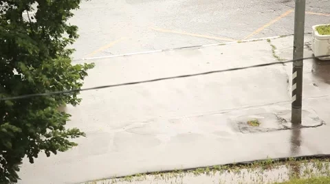 Rain in the city. View from the window. Summer. 2012 Stock Footage 49102331
