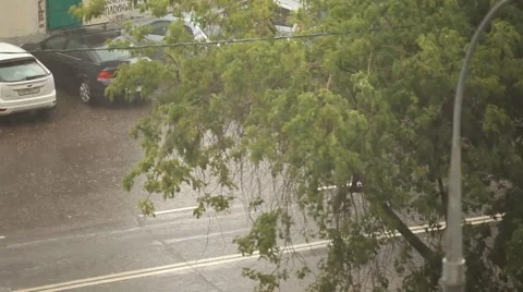 Rain in the city. View from the window. Summer. 2012 Stock Footage 49102450