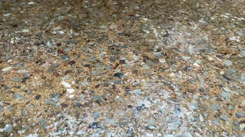 Rain Close Up and Slow Motion Stock Footage 168387664