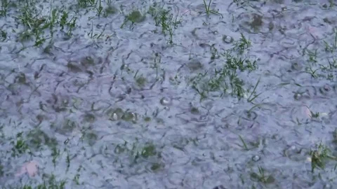Rain Close-Up Stock Footage 81921267