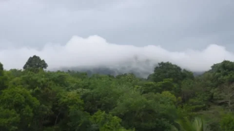 Rain clouds and forests in Thailand beauty nature Stock Footage 130546354